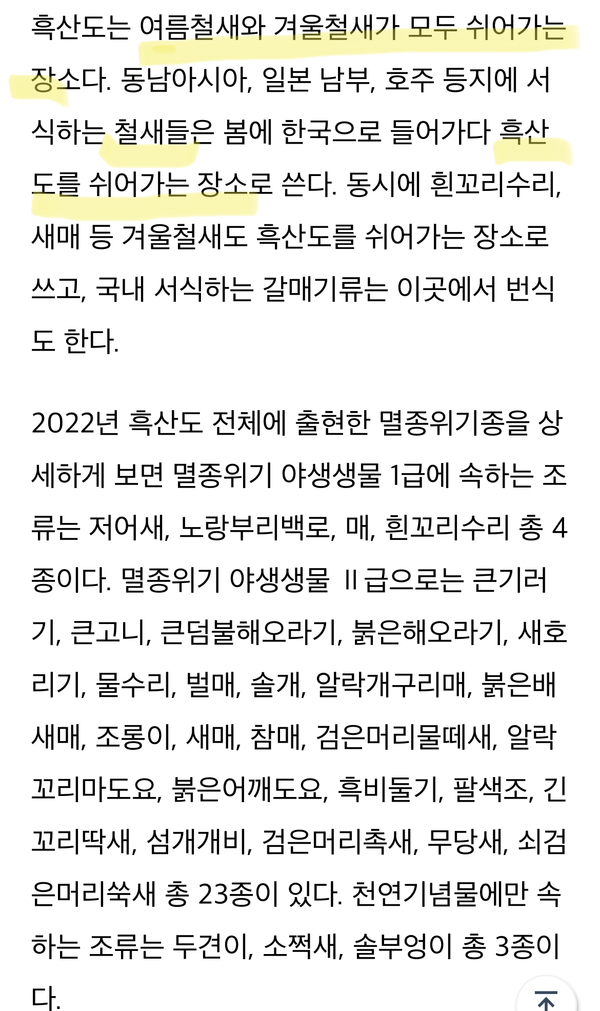 고양이가 새를 죽이니 안락사 해야한다는 와중에 인간이 더 깔끔한 야생조류 학살법을 발표 | 인스티즈
