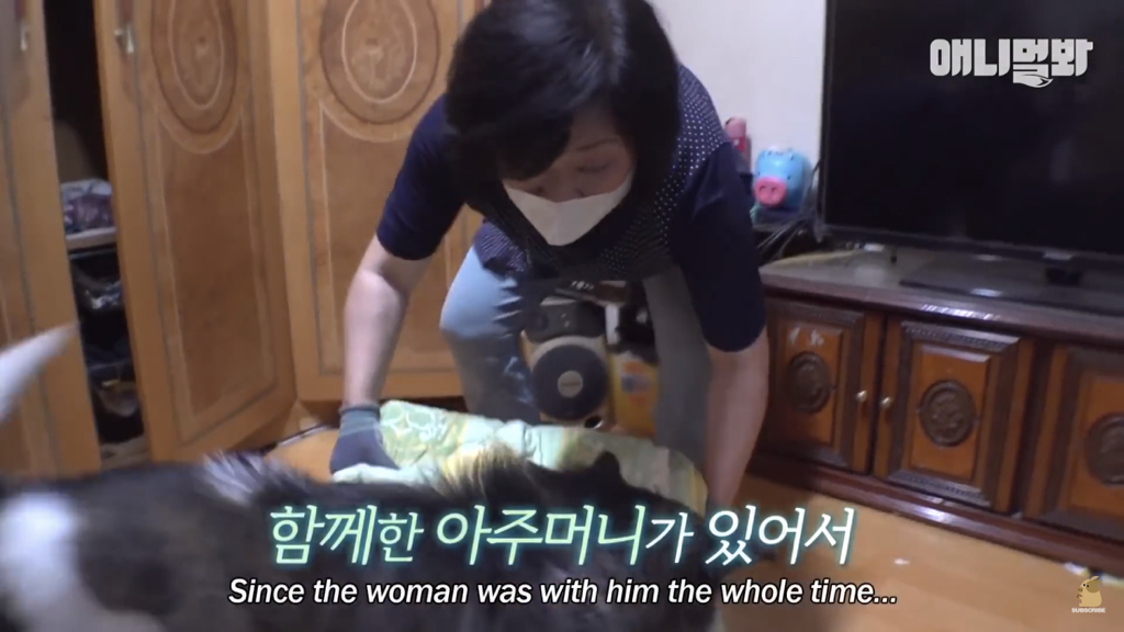 1년만에 자신을 두고 간 주인을 만난 강아지 반응 | 인스티즈