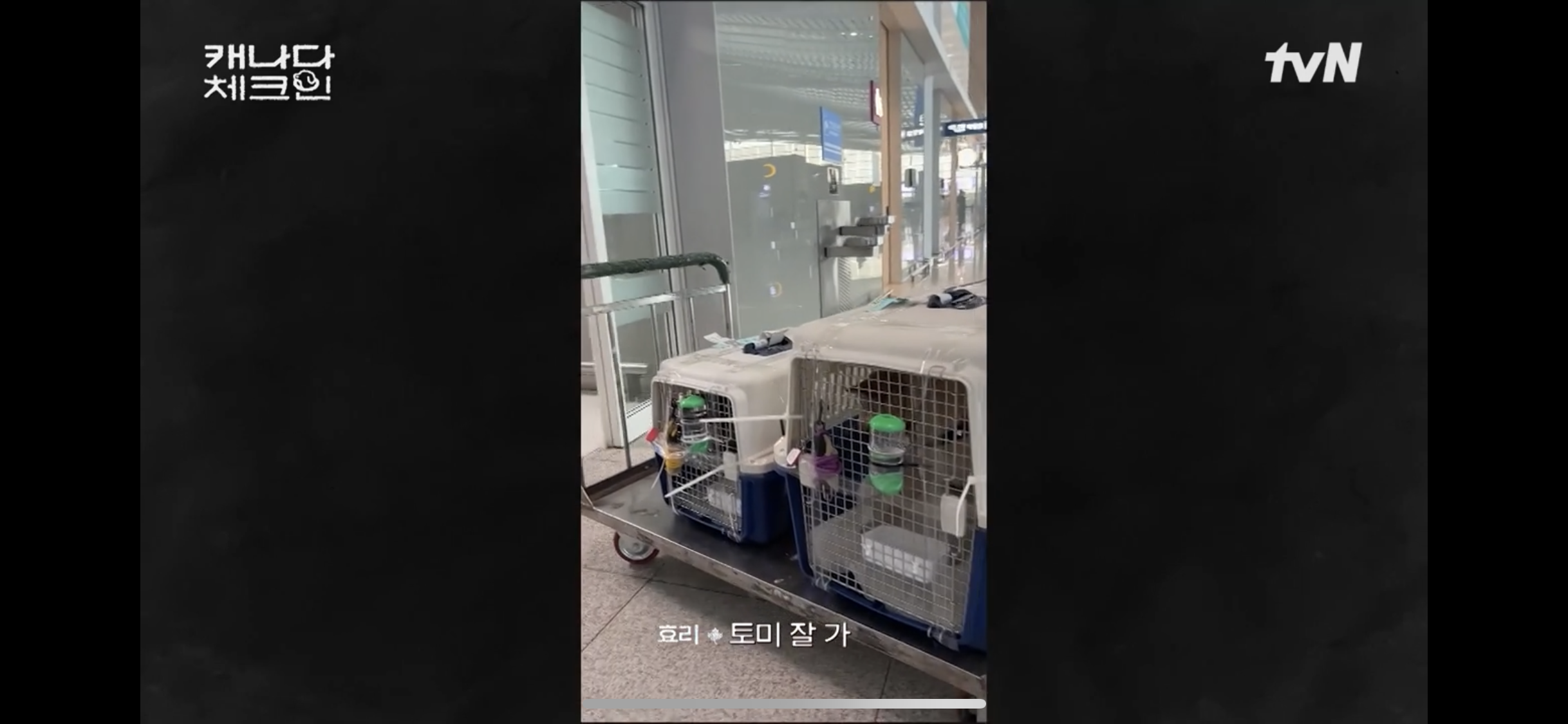 초조하게 누군가를 기다리는 이효리 | 인스티즈