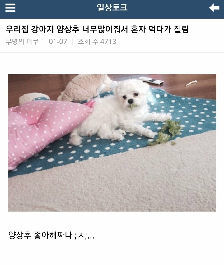 실수로 전여친 인스타스토리 봐버림...jpg | 인스티즈