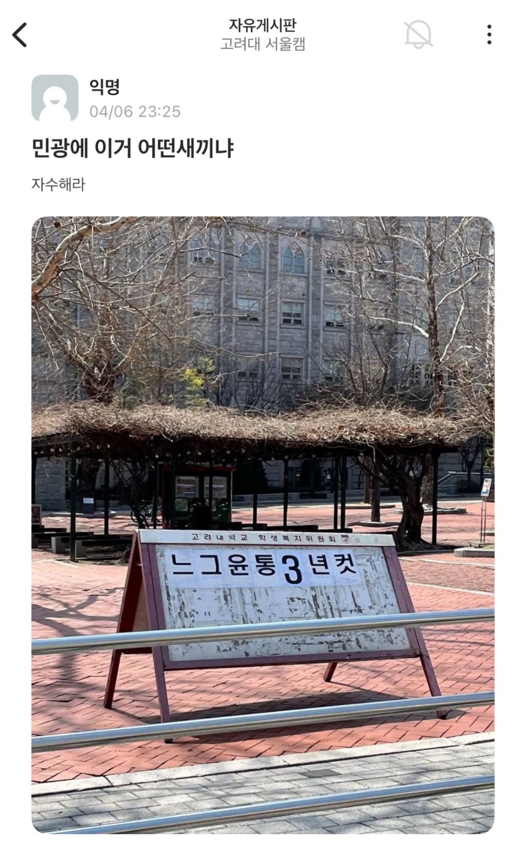 봄이 온 고려대 근황...jpg | 인스티즈