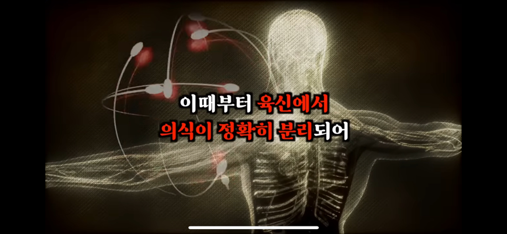 죽고나서 지구로 환생안하는 방법 4탄 | 인스티즈