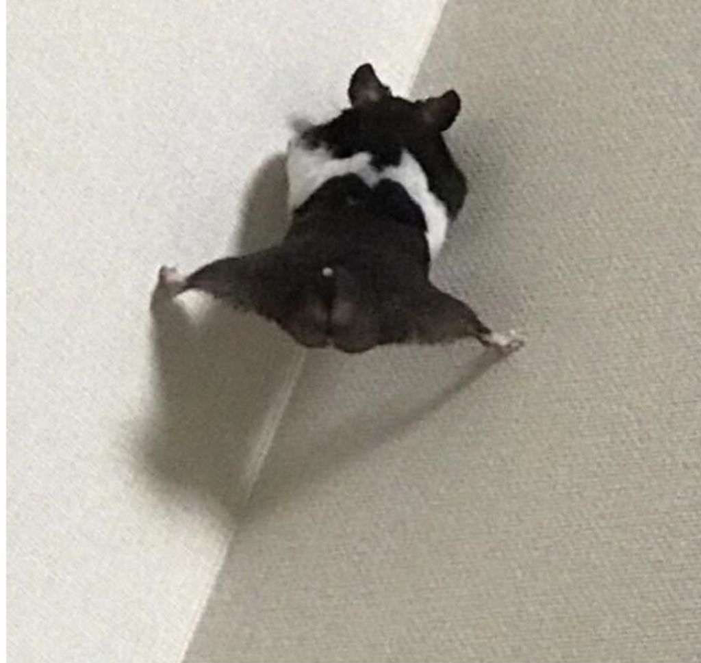 집에 언제 오냐고 아빠가 물어보는데 | 인스티즈