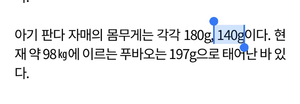 벌써부터 돼지판다..의 조짐이 보이는 푸바오 동생 둘째바오 | 인스티즈