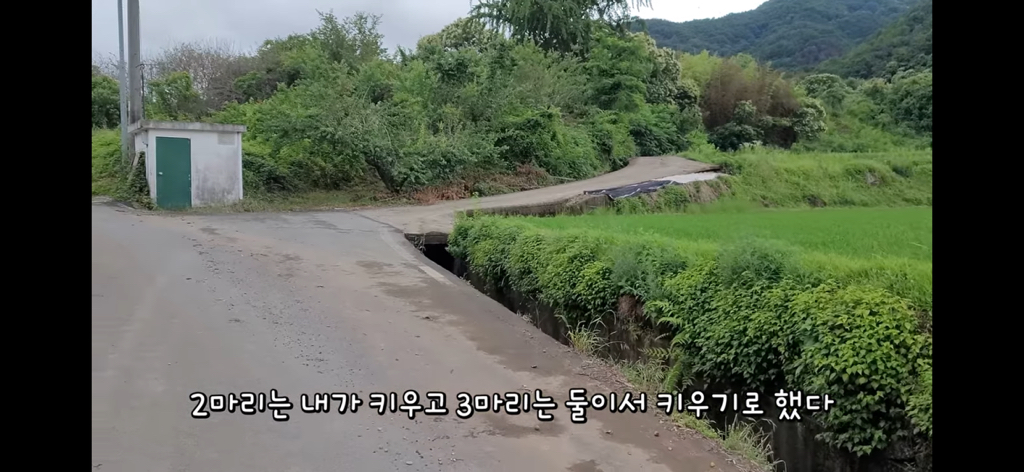 금은보화가 들어있는 박씨를 얼마나 받을지 궁금한 매탈남 | 인스티즈