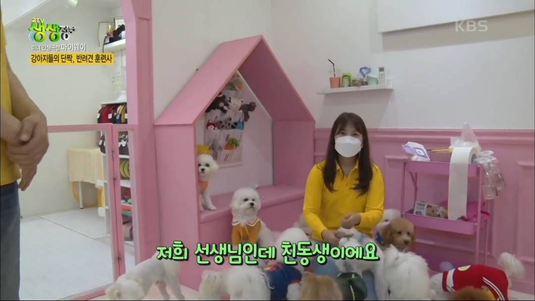 강아지 유치원.jpg | 인스티즈