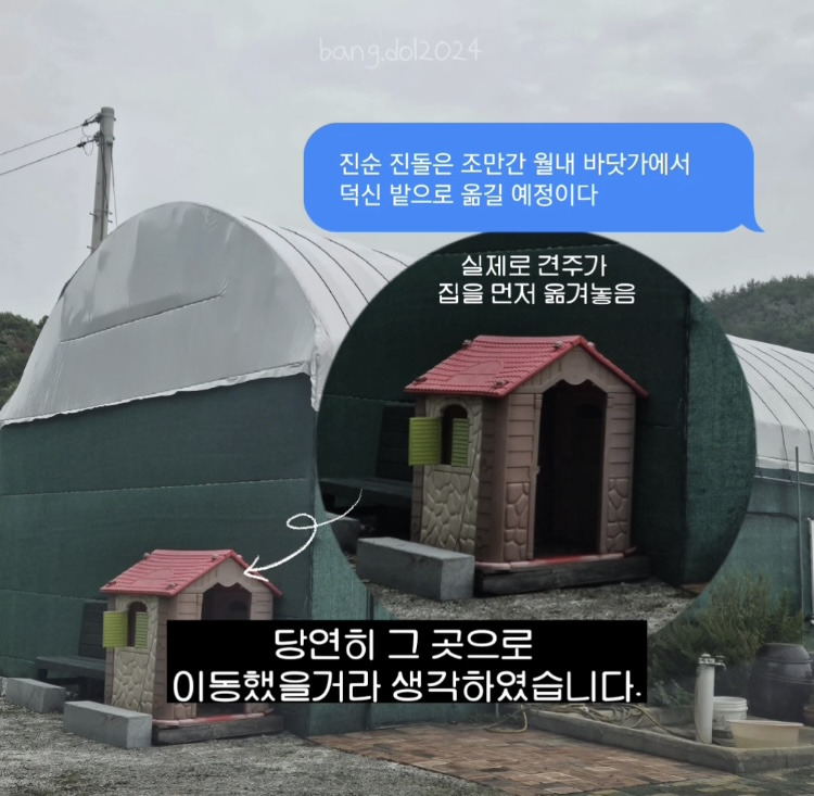 [입양홍보] 개장수에게 팔렸다 되찾아온 방치견 진순이·진돌이, 평생 가족을 찾아요! (부산/울산/전국) | 인스티즈