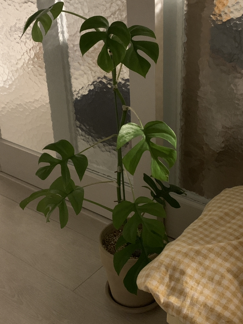 자기만의 방, 그 안에서 나 홀로 잘 살기 | 인스티즈