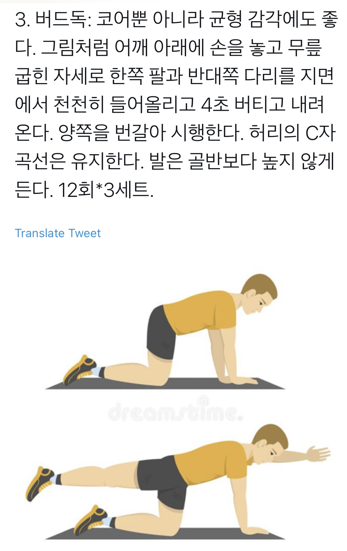 코어의 중요성과 허리가 안좋아도 할 수 있는 6가지 운동법 | 인스티즈