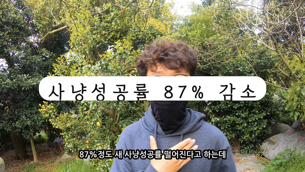 고양이가 자연생태계에 끼치는 심각한 영향(새 사체사진있음) | 인스티즈