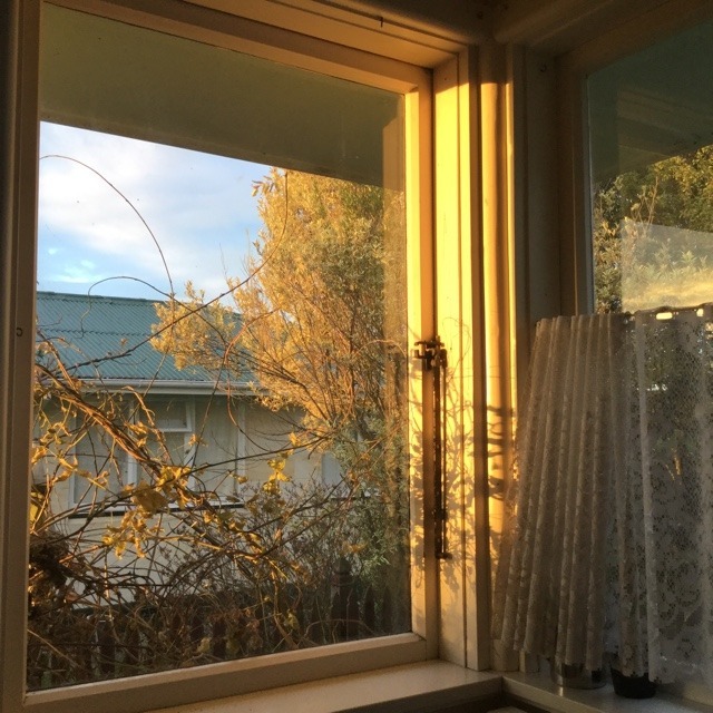 풍기는 분위기가 좋은 사진이나 짤 공유하는 달글 | 인스티즈