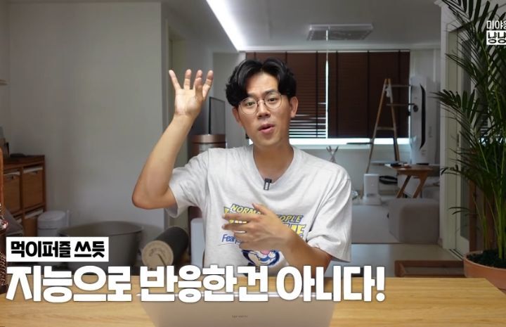 고양이 벽짚 챌린지는 진짜 지능과 관련 있을까? | 인스티즈