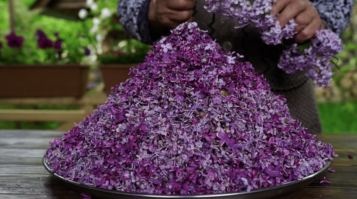 요즘 유튜브에서 은근히 인기 많다는 외국 시골 브이로그...jpg | 인스티즈