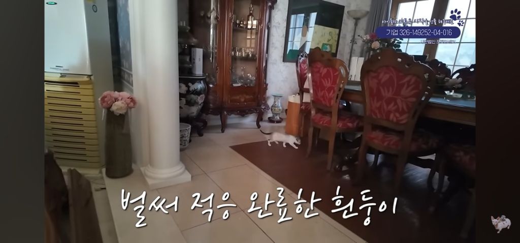 재벌집 막내 딸 | 인스티즈