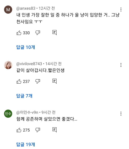 예전과 달라진 길고양이 급식소 겨울집 여론 | 인스티즈