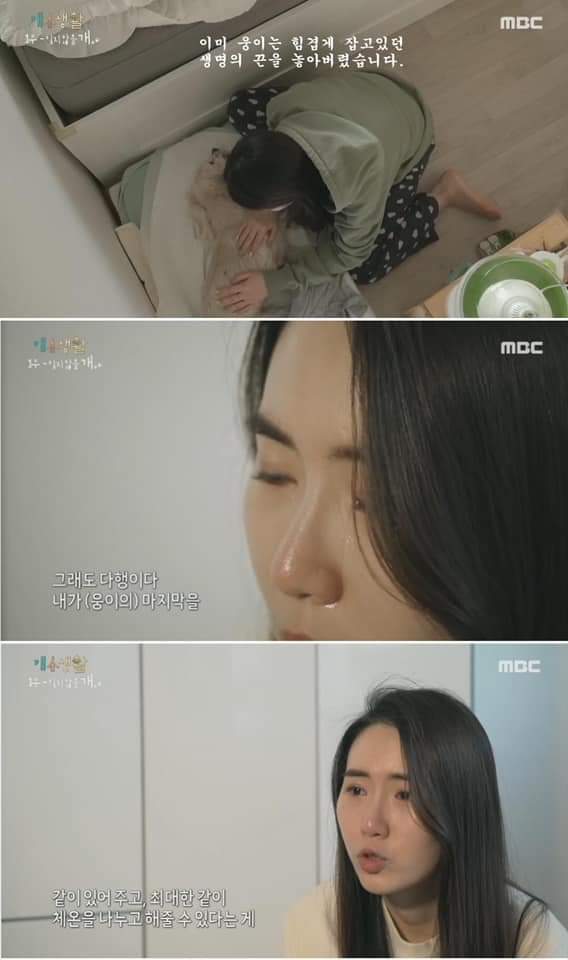 무지개 다리를 건넌다는 것 | 인스티즈