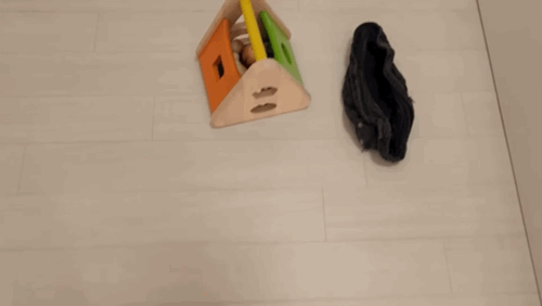 지옥이 다름없는 충격적인 일본 수달 카페.. | 인스티즈