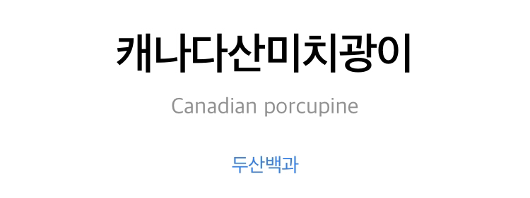 82cbfb7332653030239f2db5bff3d5c837713834