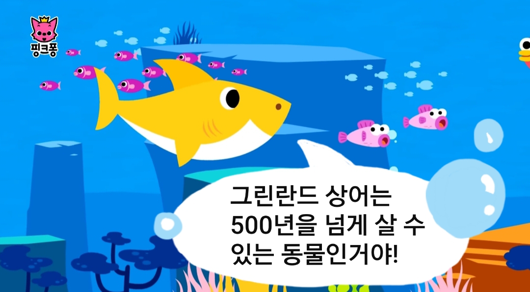 🦈 태어나고 무려 150년 지나서야 첫 짝짓기 하는 동물 | 인스티즈