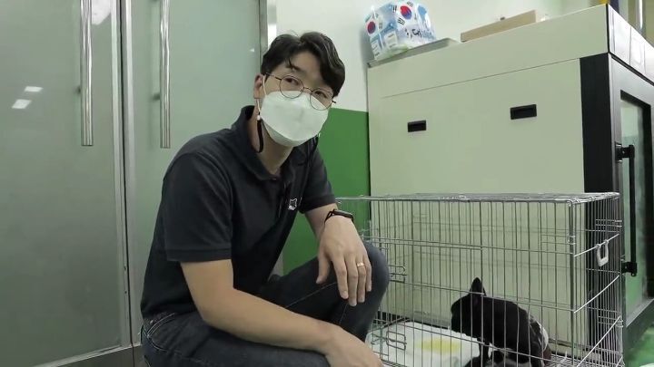 교통사고난 유기견 입양한 설채현 수의사 그리고 윙크 근황😉 | 인스티즈