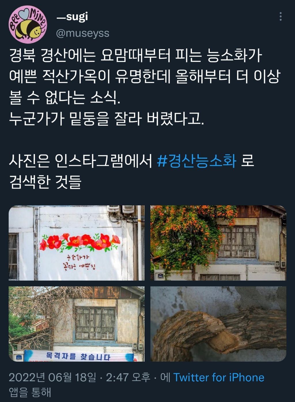 열등감이란 말로는 부족한 괴악한 사회현상.twt | 인스티즈