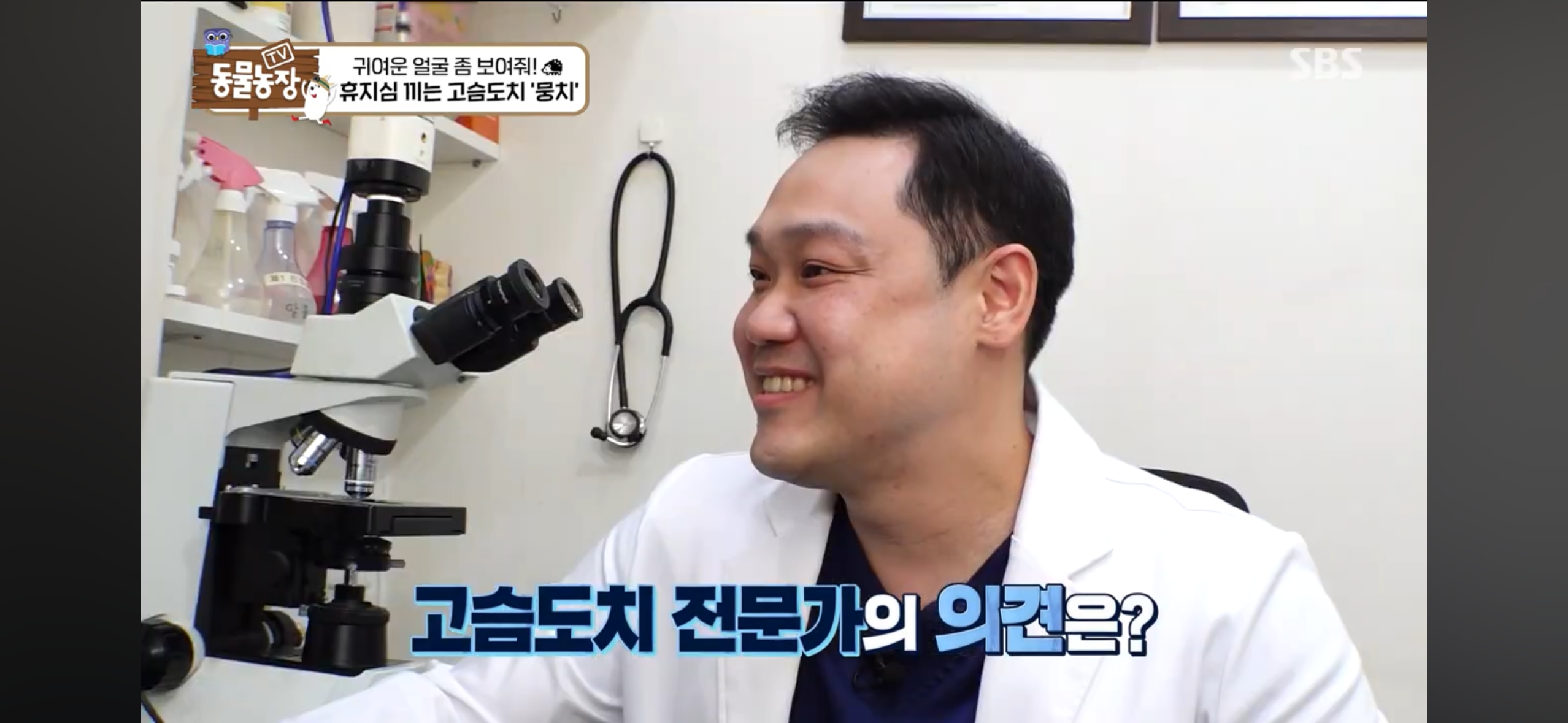 따봉고슴도치 휴지심 좋아도치 | 인스티즈