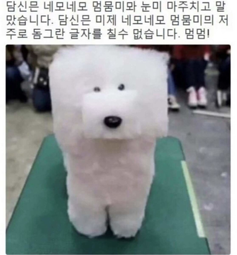 정말 진심으로 당황스러운 중국 징징이 렌즈 | 인스티즈