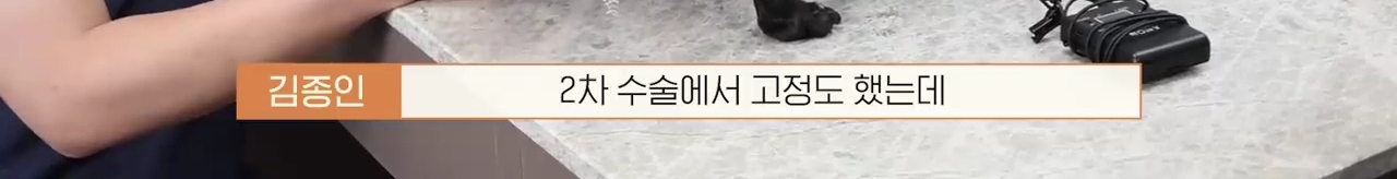 교통사고난 유기견 입양한 설채현 수의사 그리고 윙크 근황😉 | 인스티즈