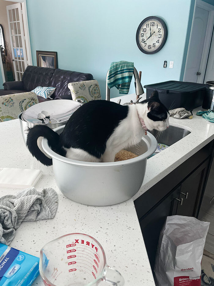 천 마디 말보다 가치 있는 사진들 모음 | 인스티즈