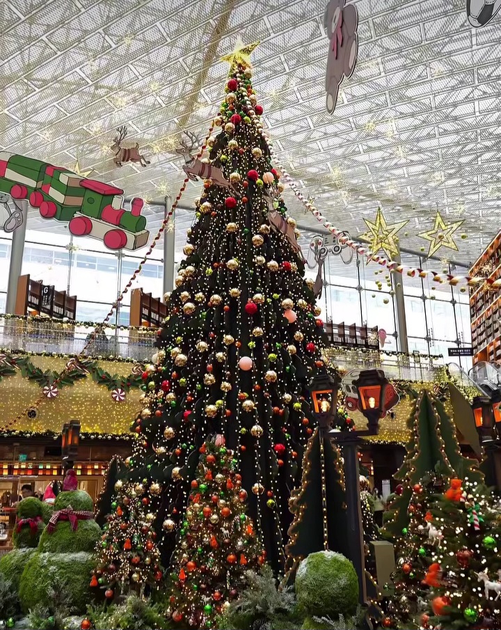 오늘 공개된 코엑스 별마당도서관 크리스마스.jpg | 인스티즈