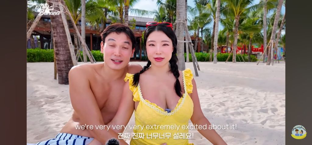 유투버 아티앤바나 임신소식!! | 인스티즈