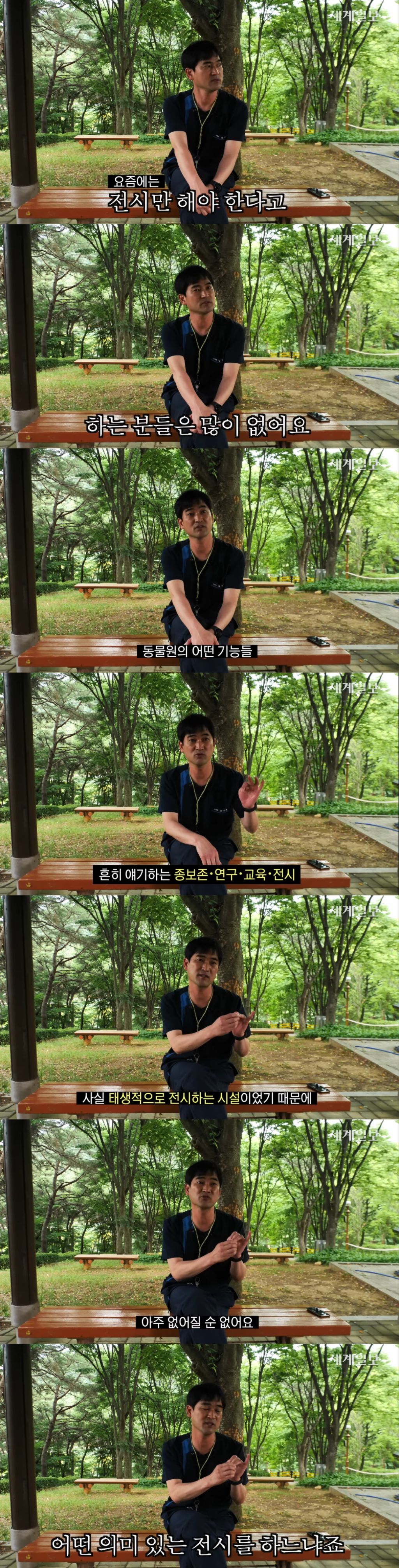핫플이었던 동물원 갈비뼈 사자 + 갈비뼈 사자 딸 근황 | 인스티즈