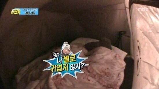 한때 짤방계의 대주주였던 아빠어디가 | 인스티즈