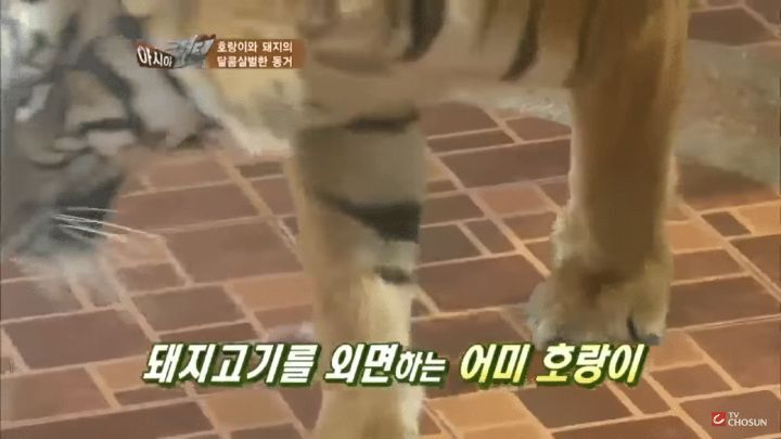 일반적인 상식을 뒤엎는 부모 자식 관계.jpg | 인스티즈