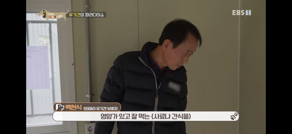 [세상에나쁜개는없다] 유기견의 파라다이스 | 인스티즈