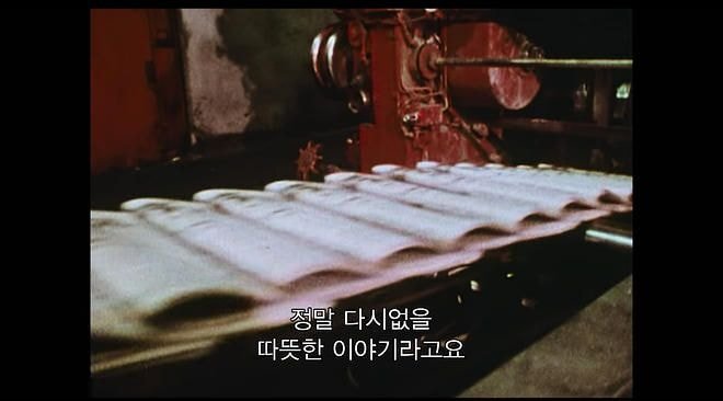 우산을 놓고 가서 돌아가보니 입양기관 관계자들이 샴페인 파티를 하고 있었다 | 인스티즈