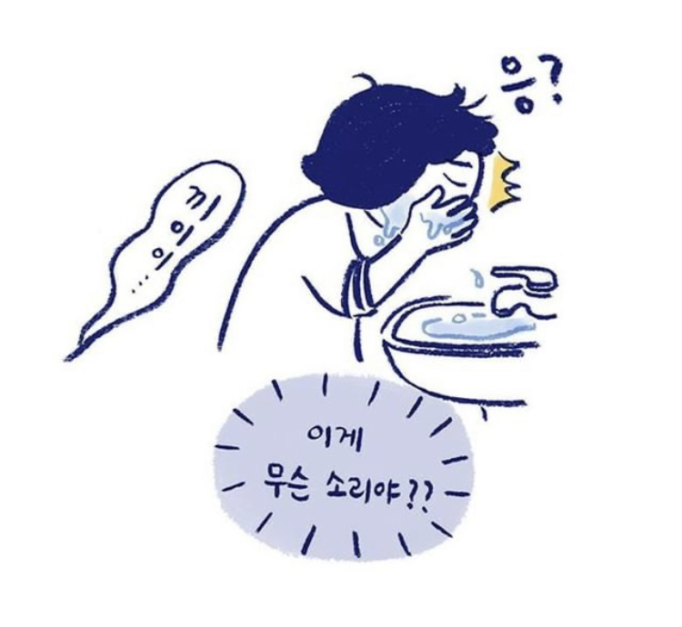 반려동물을 떠나보낸다는 것 | 인스티즈