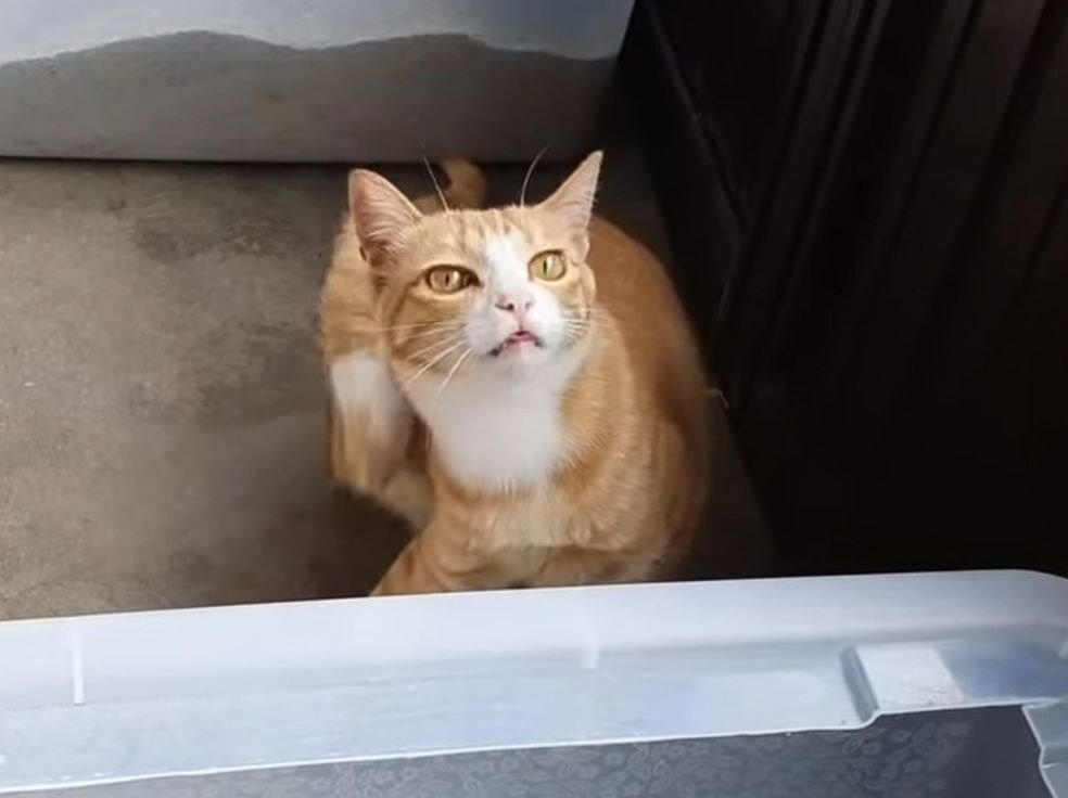 83f9189b0b6341fcffd3edc2598334f713553abc