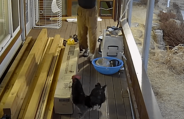 매맞는 삶을 살고있는 매탈남 근황 | 인스티즈