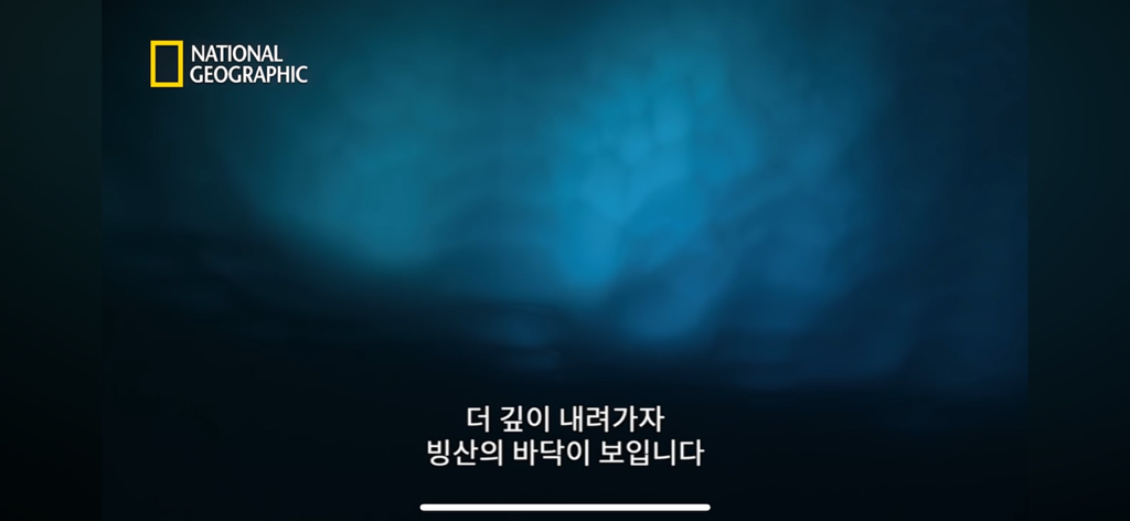대왕오징어를 찾아라-남극해의 빙산 아래 신비로운 심해 생명체들(심해주의 해산물주의) | 인스티즈