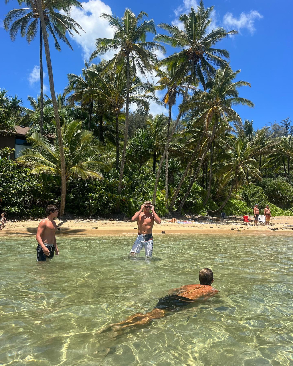 하와이에 사는 사람들이 올린 사진들 | 인스티즈