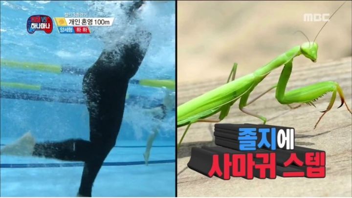 무한도전에 나온 신개념 접영.gif | 인스티즈