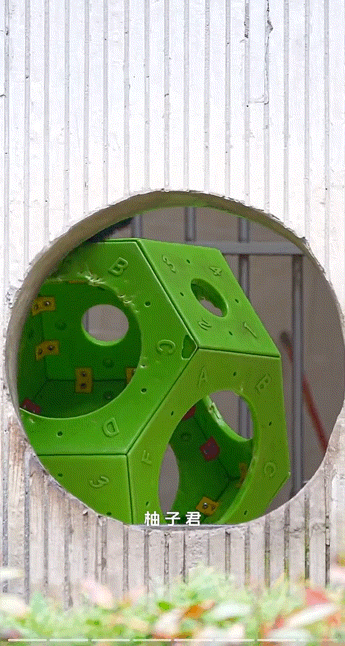 내실에서 보행기 타는 푸바오🐼 | 인스티즈