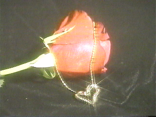 요즘 다시 유행하는 레트로 캠코더.gif | 인스티즈