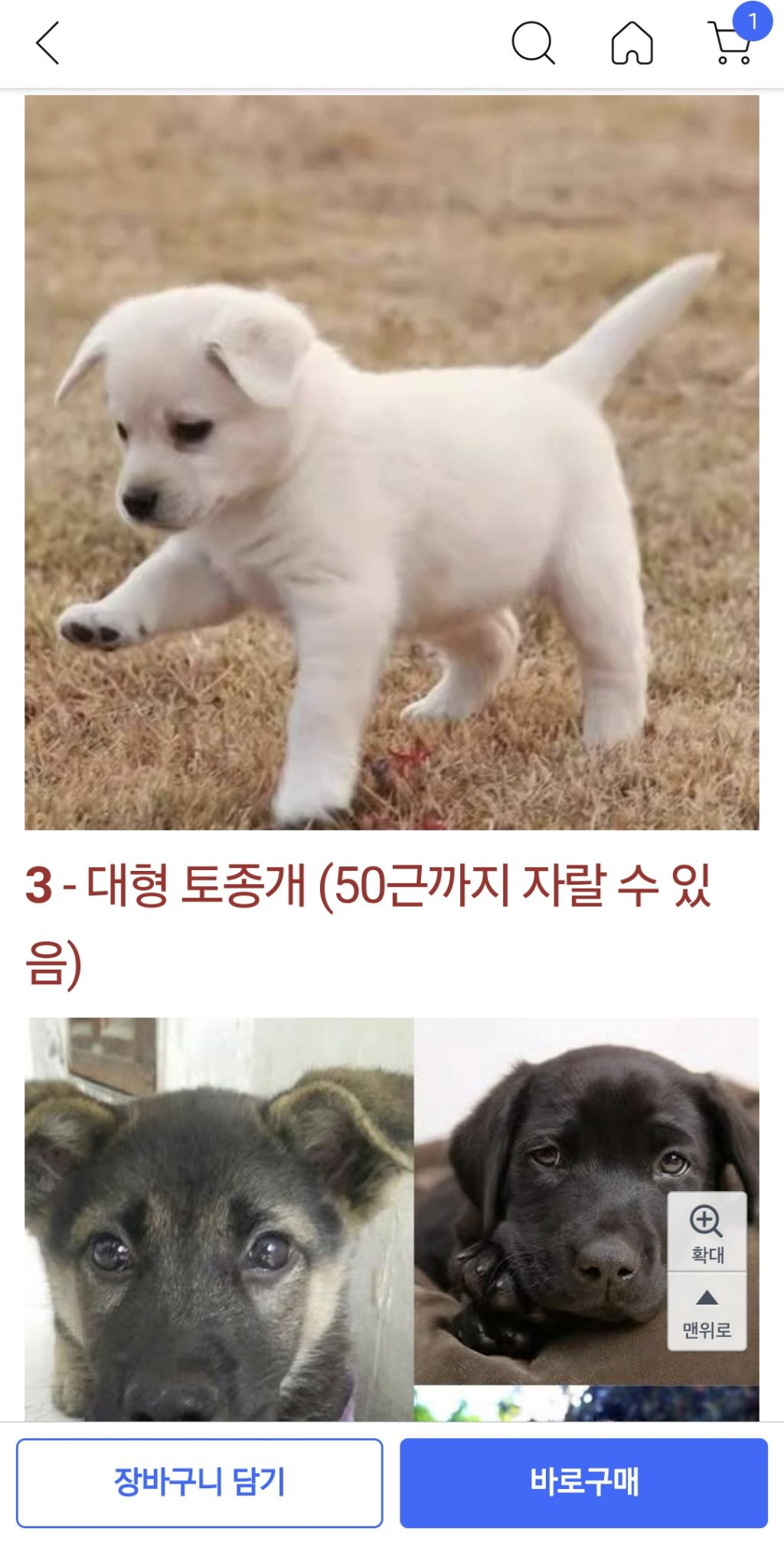 쿠팡에서 판매 중인 강아지 | 인스티즈