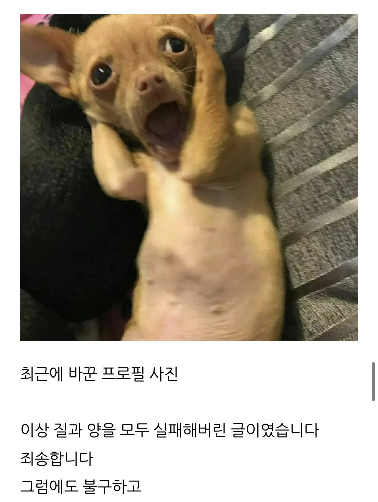 84a9cbf581138ecb23d657cb9de348f55661ac56