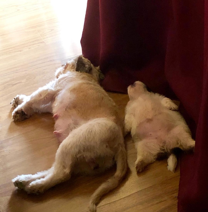 84c91af7b175716e283f3f123c8fd5a90de7dc55