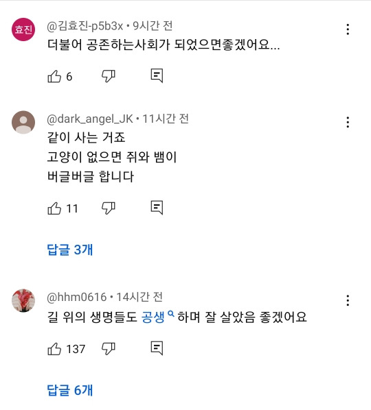 예전과 달라진 길고양이 급식소 겨울집 여론 | 인스티즈