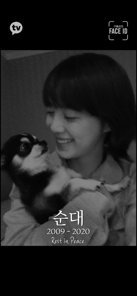 [페이스아이디] 순대가 하늘에서 구름밟고 떨어졌으면 좋겠어 다시 키우게 .. (별이 된 구혜선 반려견) | 인스티즈