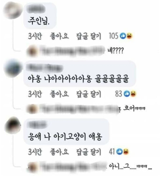 이거 회 떠서 고양이 줘도 되나요? | 인스티즈